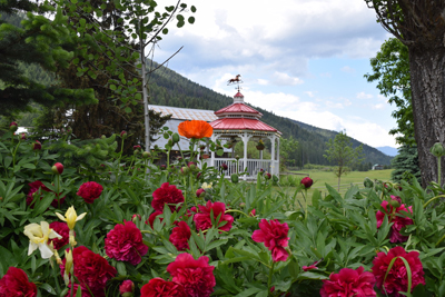 Welcome to Little Beaver Creek Ranch