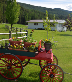 Welcome to Little Beaver Creek Ranch